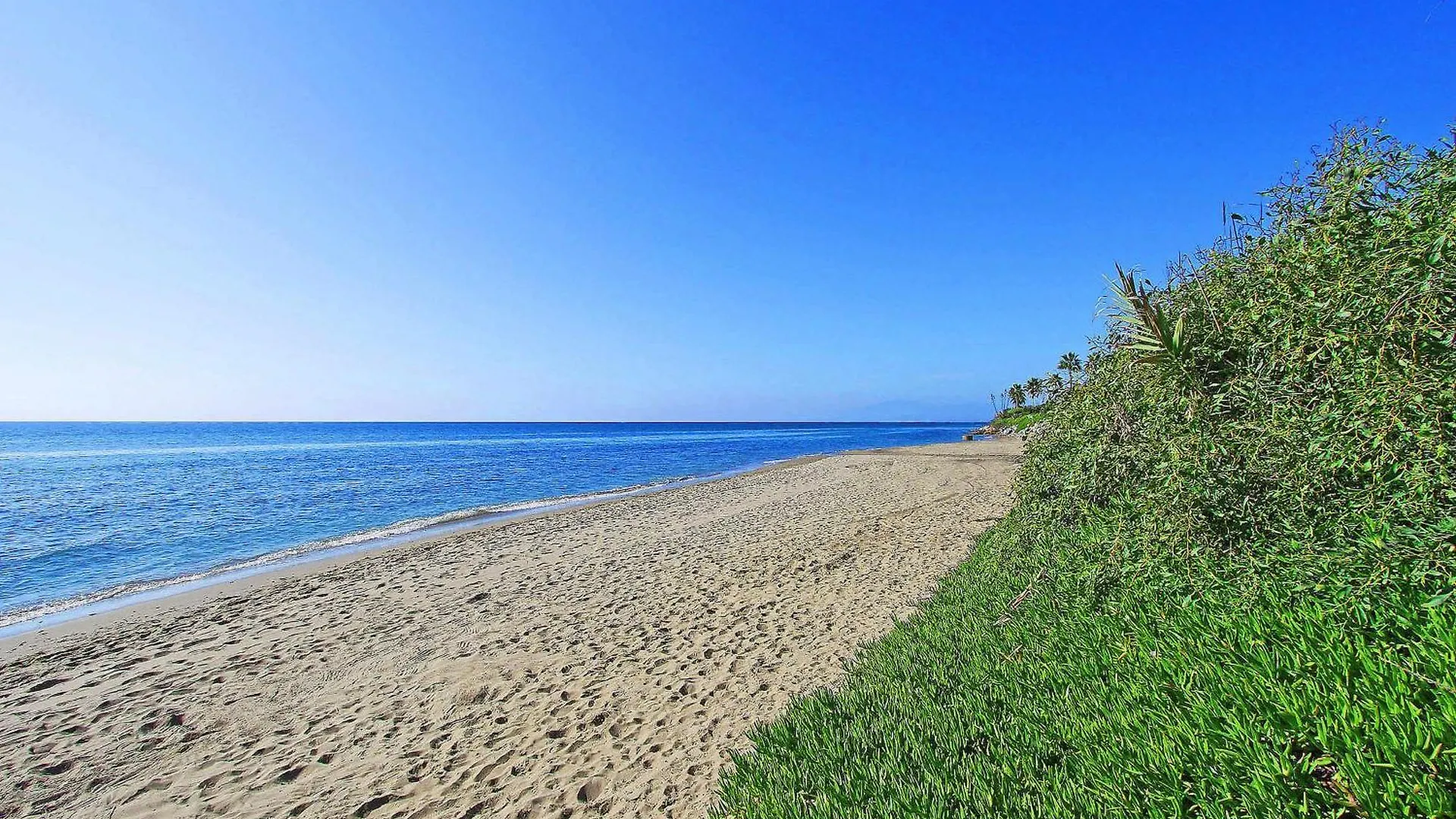 公寓 1039 Beach Front 2 Line Penthouse 马尔韦利亚